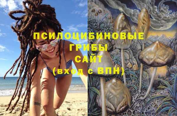 дживик Костерёво