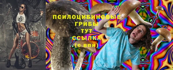 мескалин Коряжма