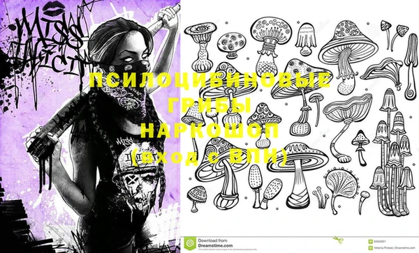 кристаллы Корсаков
