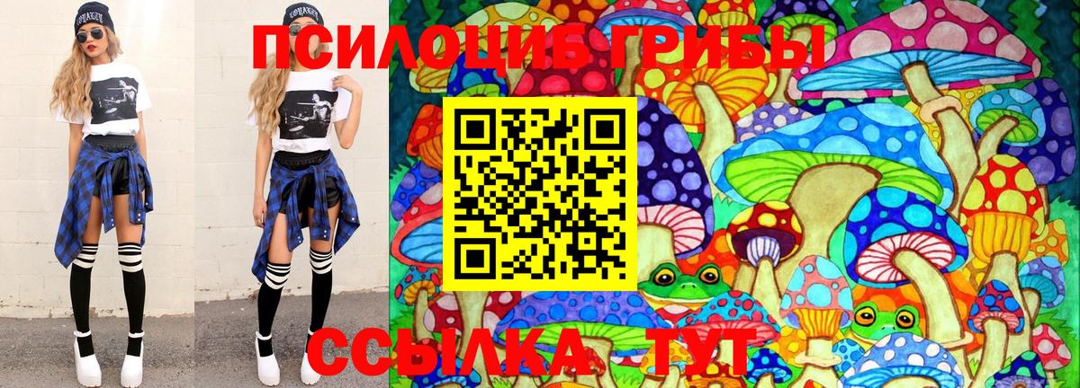 Галлюциногенные грибы прущие грибы  как найти   Псилоцибиновые грибы GOLDEN TEACHER  Шатура 