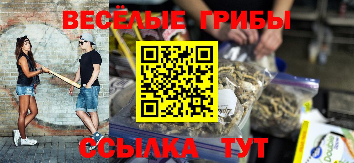 Псилоцибиновые грибы мухоморы Шатура