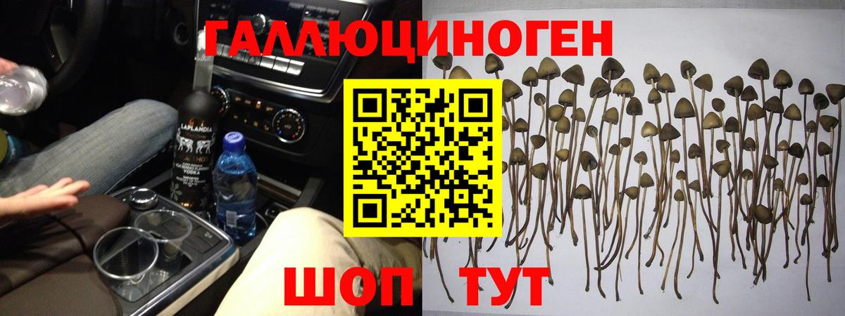 Шатура  Псилоцибиновые грибы ЛСД  Вход с VPN 