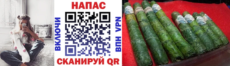 Канабис сатива  Шатура 